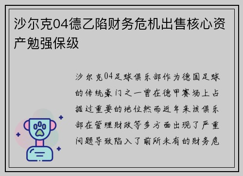 沙尔克04德乙陷财务危机出售核心资产勉强保级